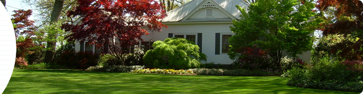 lawn care in madison